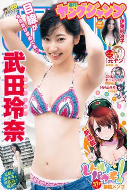 复仇计划在线观看完整版